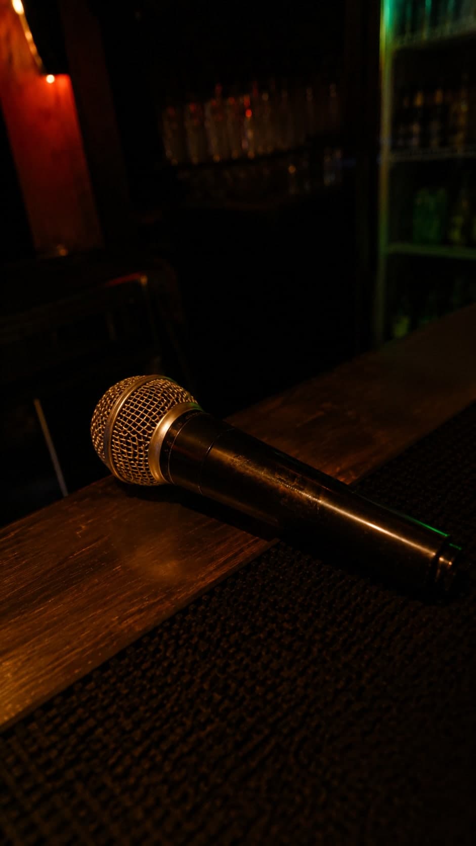 Photo from a Gırgır Turkish Karaoke night