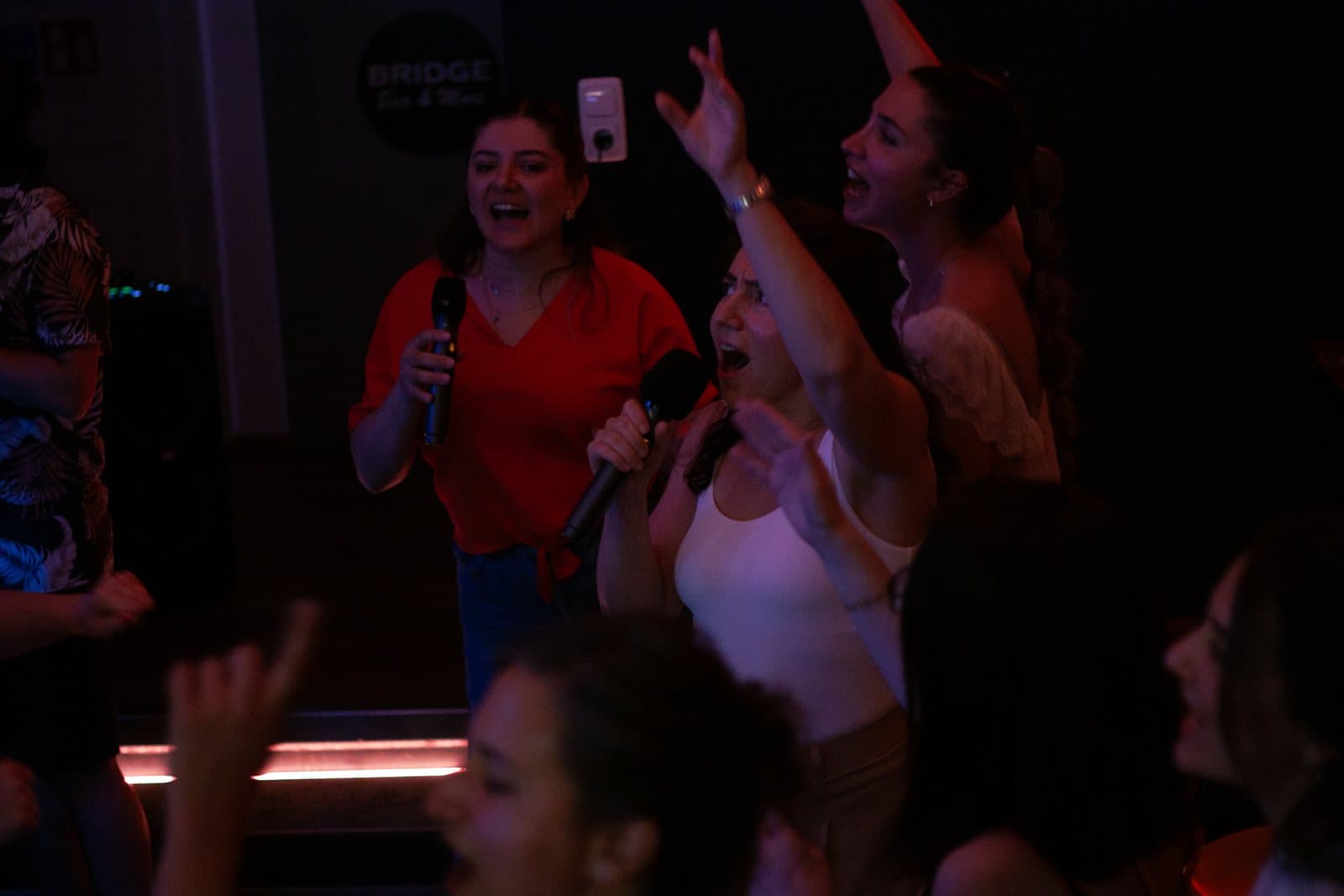 Gırgır Türkçe Karaoke gecesinden bir fotoğraf